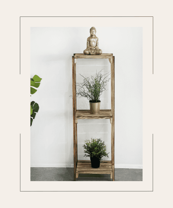 Saksılık & Çiçeklik