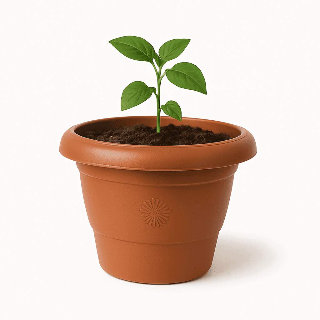 Vovikon Antik 1,5 Litre 5 Adet Küçük Boy Saksı