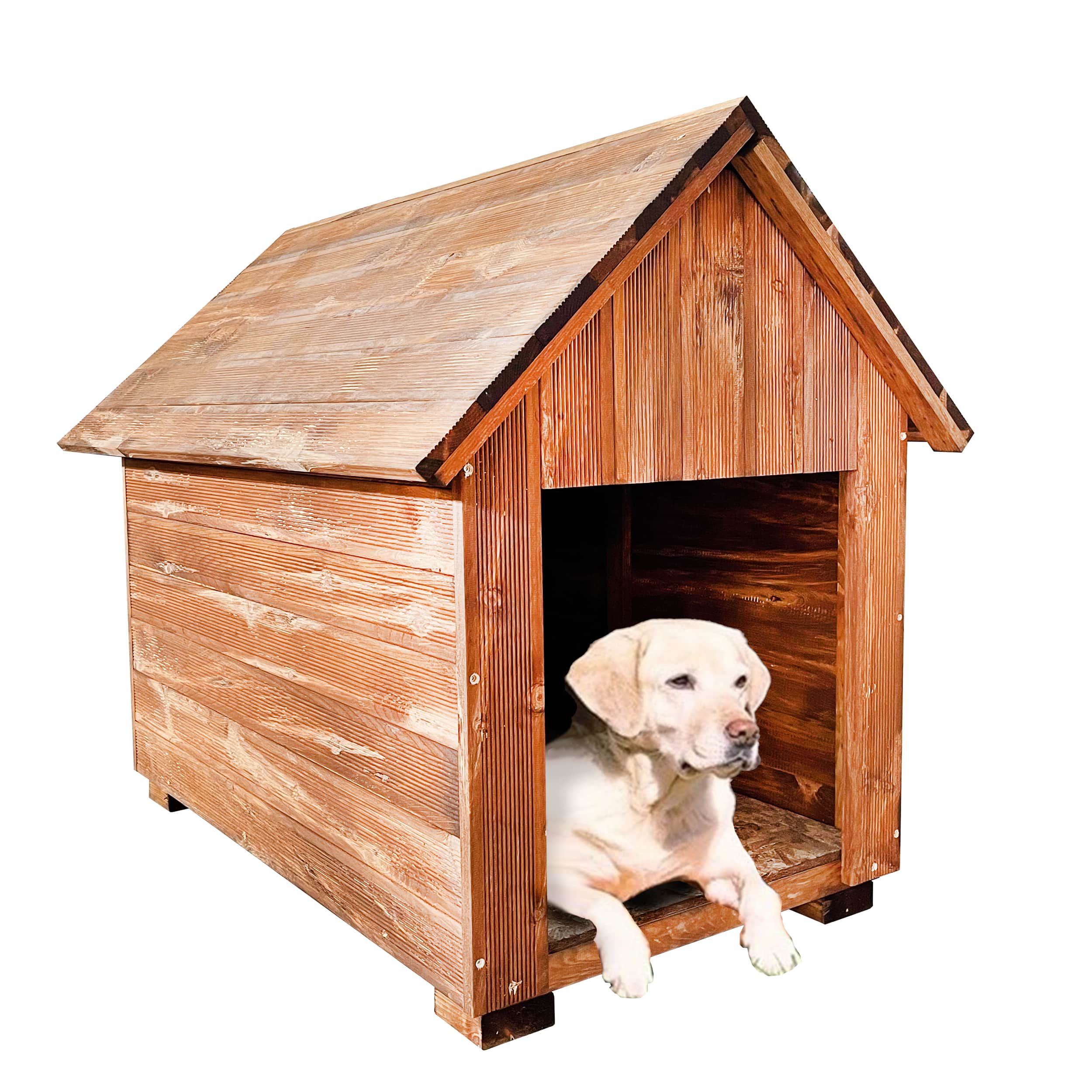 Ahşap Köpek Kulübesi Evi Yuvası 2024