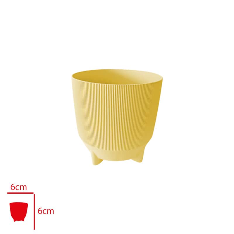 Poliwork Luna Saksı 6 cm Karışık Renk