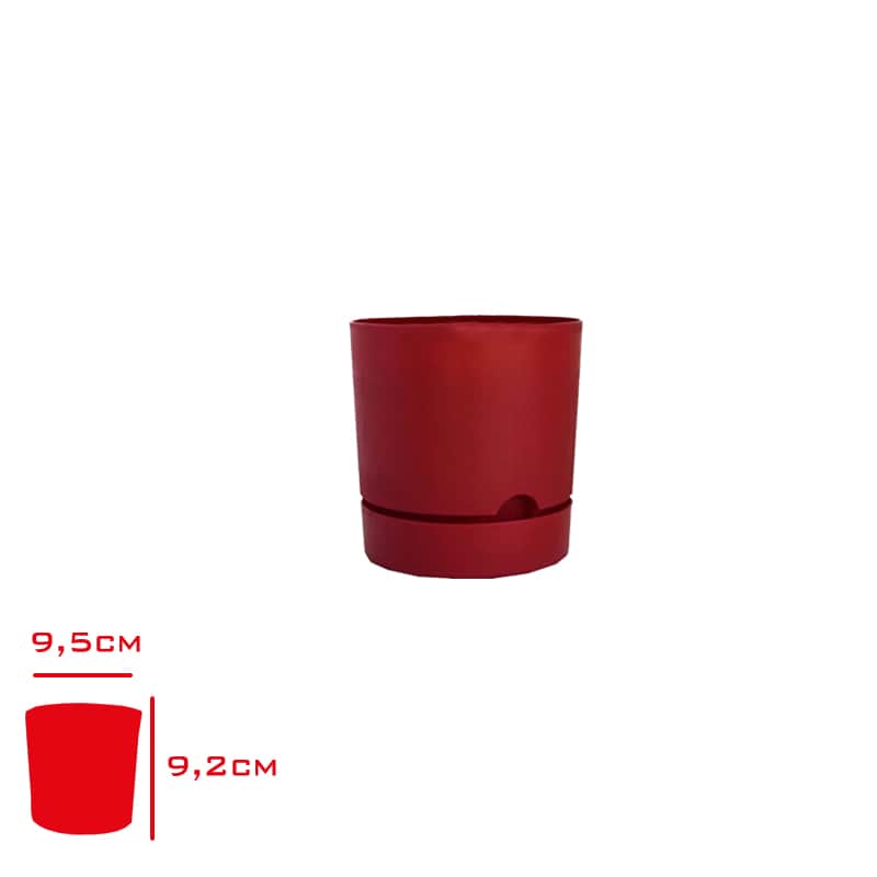 Poliwork Begonya Saksı 9 cm Bordo