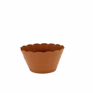 Sağlam Papatya Saksı 0 No 1,3 Lt