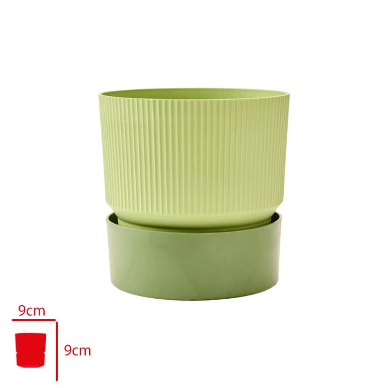 Poliwork Ixora Forest Saksı 9 cm Orman Yeşili