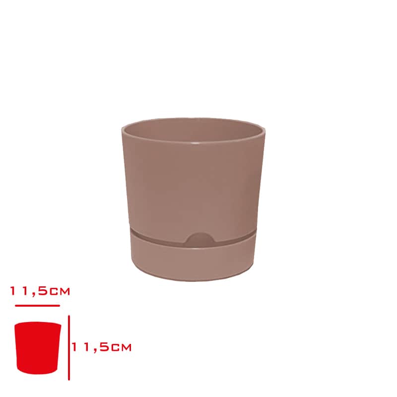 Poliwork Begonya Saksı 12 cm Krem