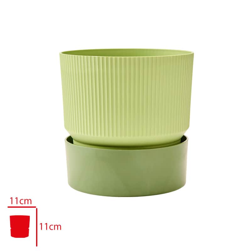 Poliwork Ixora Forest Orman Yeşili Saksı 11 cm