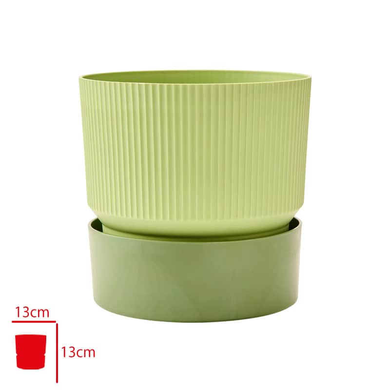 Poliwork Ixora Forest Saksı 13 cm Orman Yeşili