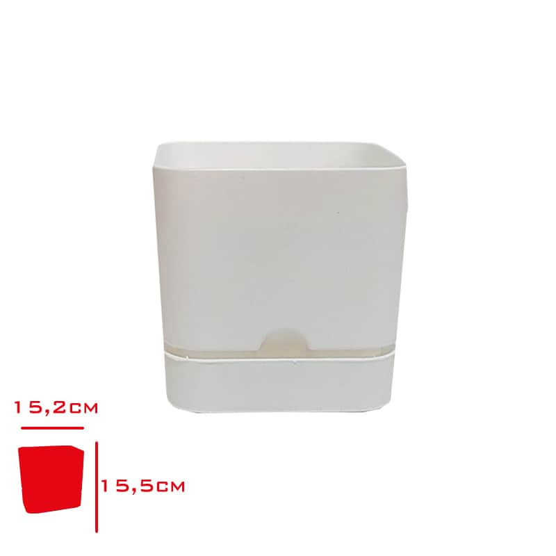 Poliwork Begonya Kare Saksı 16 Cm Beyaz
