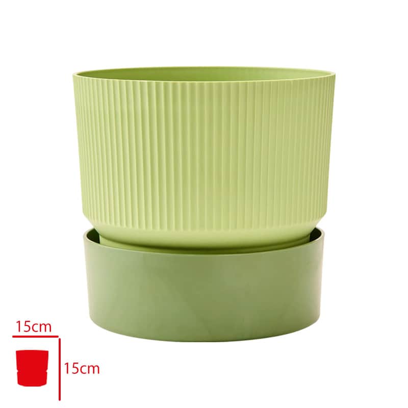 Poliwork Ixora Forest Saksı 15 Cm Orman Yeşili