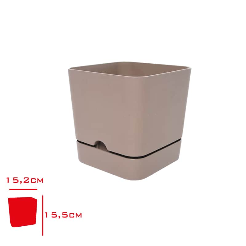 Poliwork Begonya Kare Saksı 16 Cm Krem