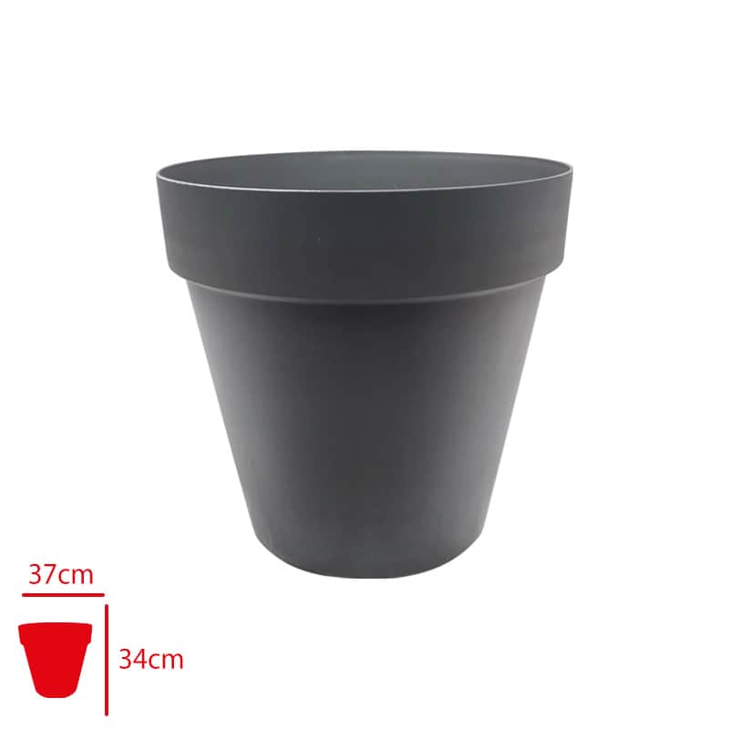 Serinova Yalı Saksı 6 No