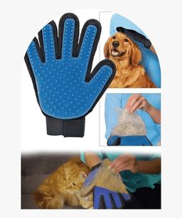 Pet Shop