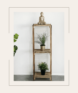 Saksılık & Çiçeklik