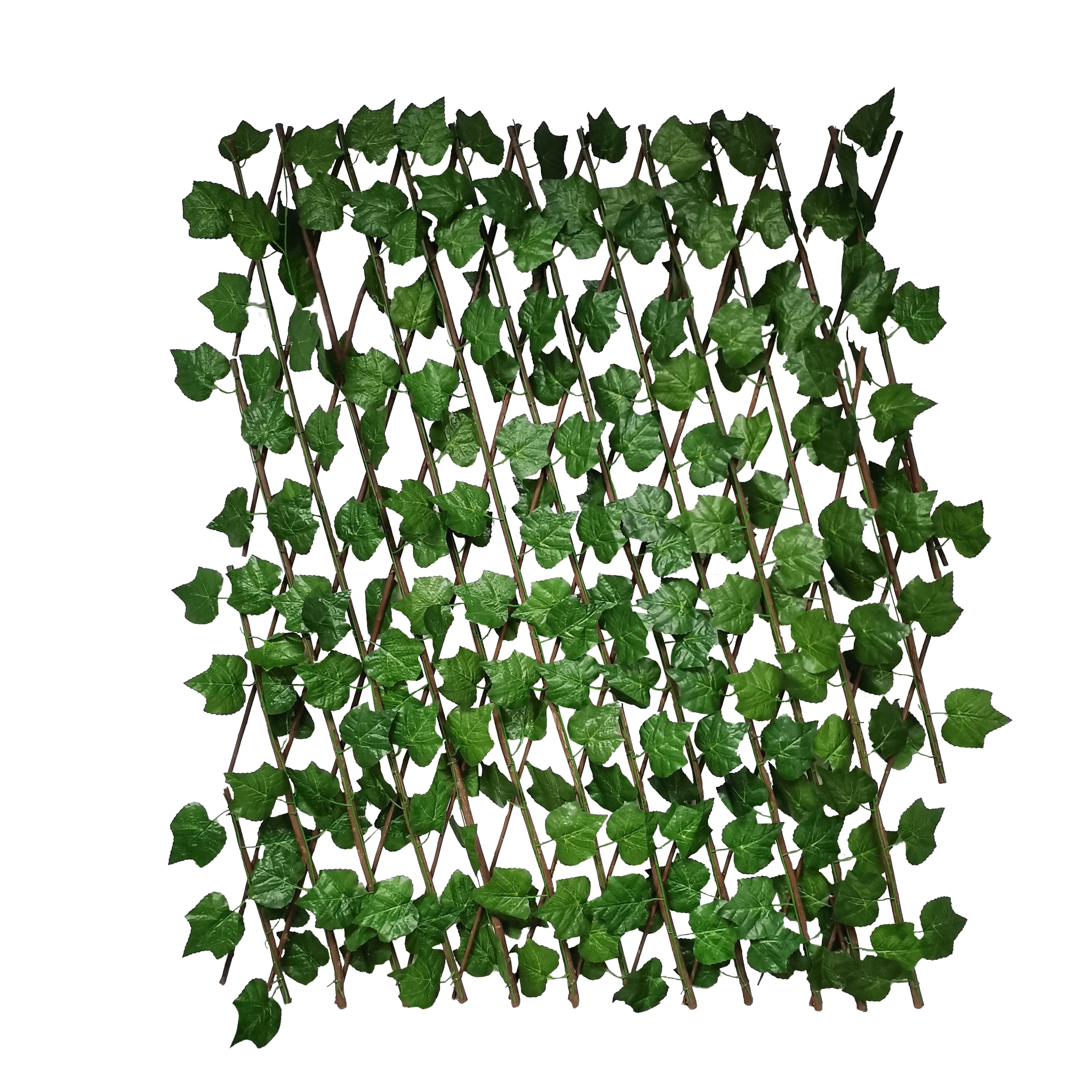 Evmoni Yapraklı Akordiyon Küçük Çit - Görsel 1