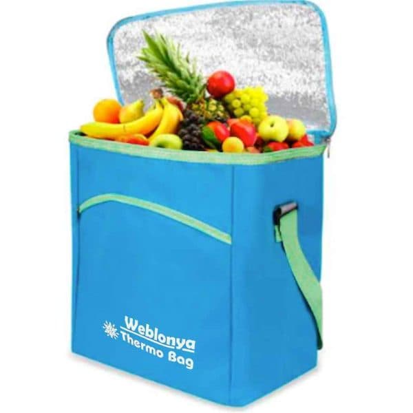 Termos Çanta 25 Lt Oto Buzluk Termos 2022 - Görsel 2