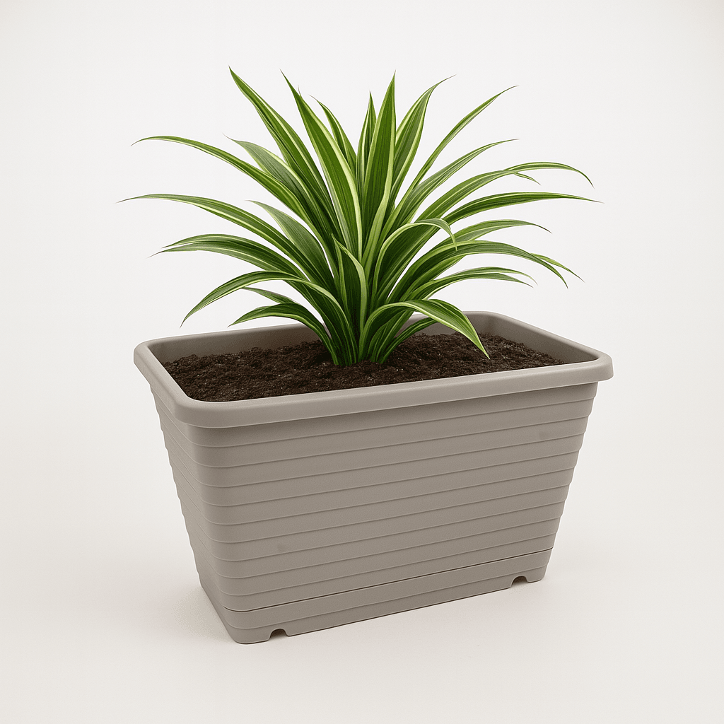 Gri Balkon Saksısı 6 Litre Saksı Çiçeklik-2