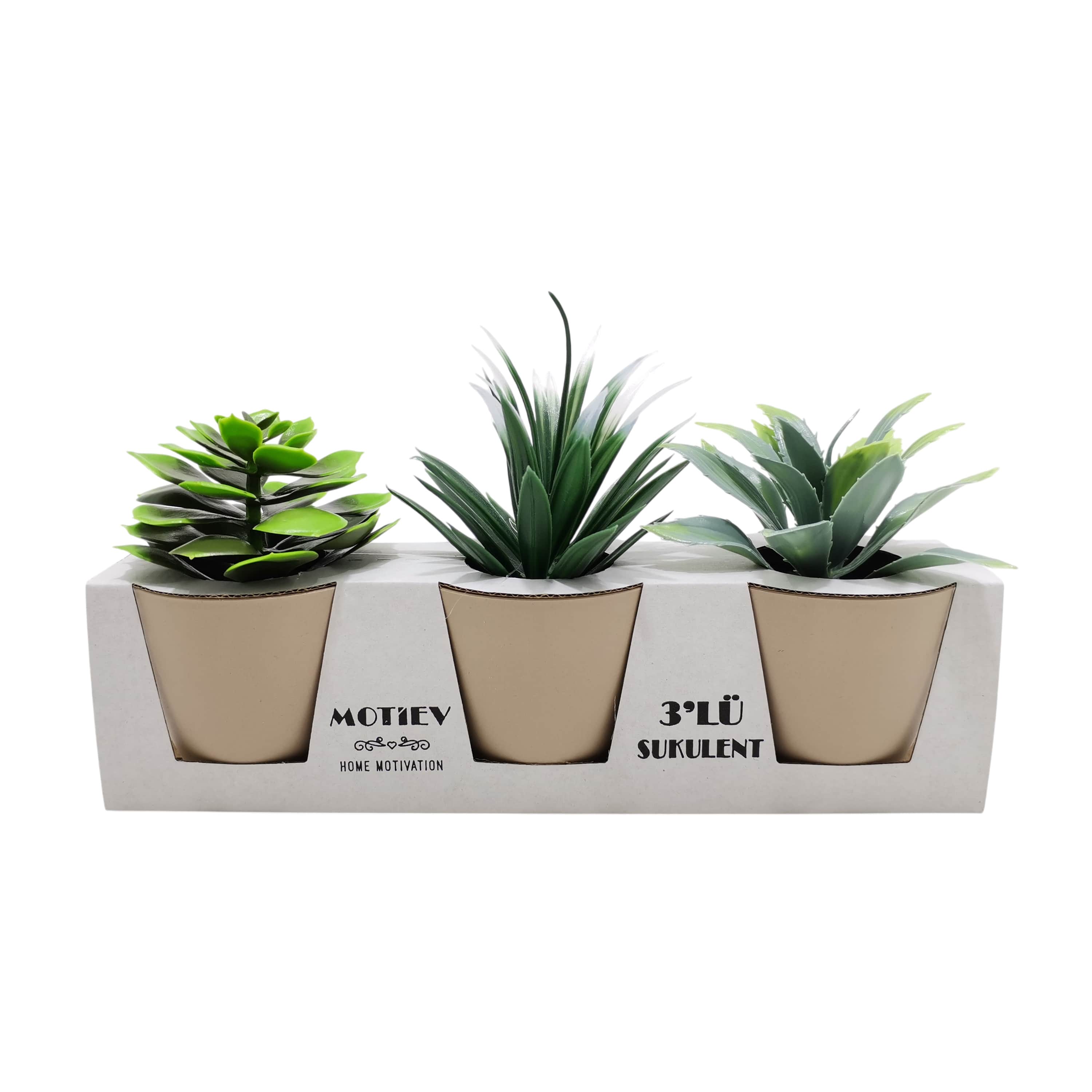 3lü Yapay Sukulent Bitki Çiçek Saksı Seti