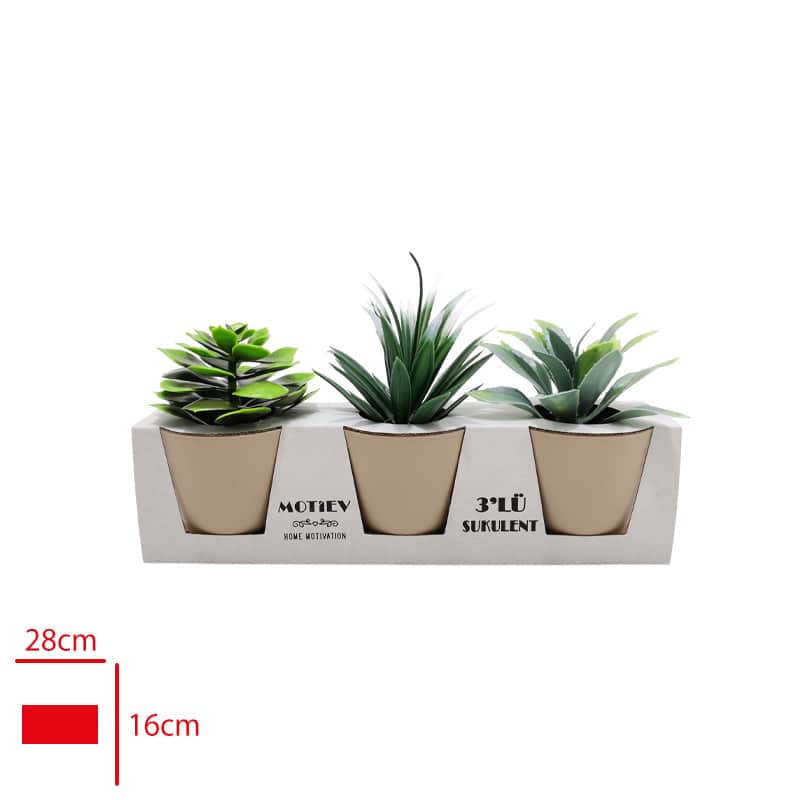 3lü Yapay Sukulent Bitki Çiçek Saksı Seti