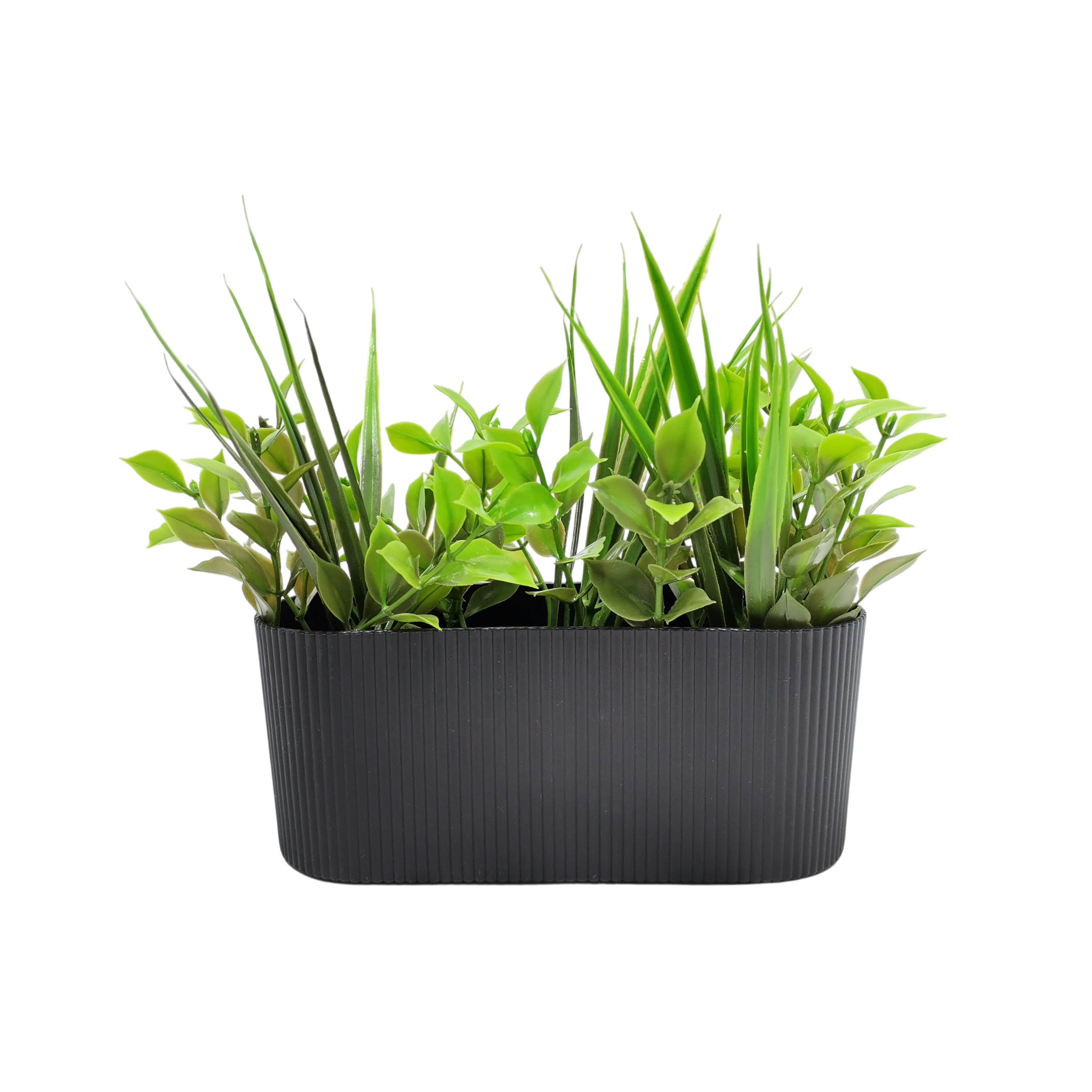 Yapay Sukulent Bitki Yaprak Çizgili Saksı