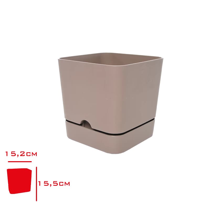 Poliwork Begonya Kare Saksı 16 Cm Krem Poliwork Begonya Kare Saksı 16 Cm Krem - Görsel 1