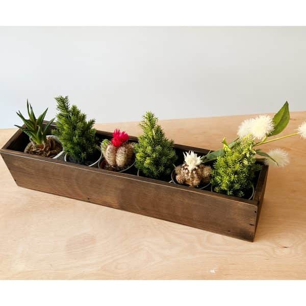 Ahşap Vazo Saksı Sukulent Bitki Saksısı 2056